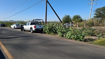Hallan a un hombre asesinado a balazos en camino de terracer&iacute;a en El Quemadito, en Costa Rica, al Sur de Culiac&aacute;n