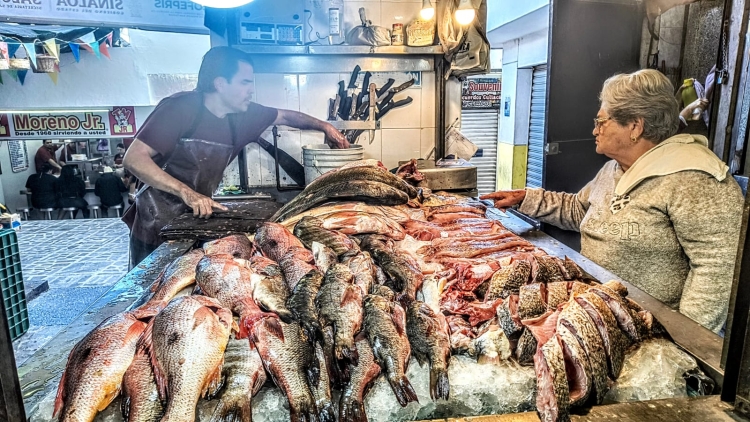 Pescader&iacute;as no ven mayor beneficio con la llegada de la Cuaresma, aseguran comerciantes