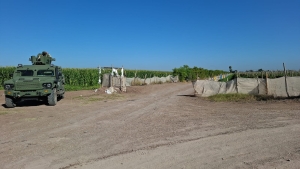 Un hombre es localizado asesinado en un sembrad&iacute;o de Villa Juarez, en Navolato